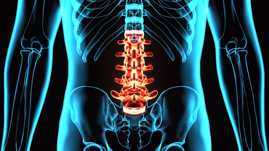 Spinal Cord Injury Attorneys